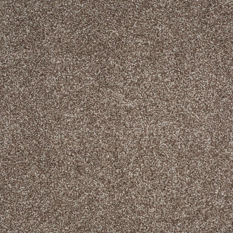 Shaw Floors Anso Open II (s) Saddle