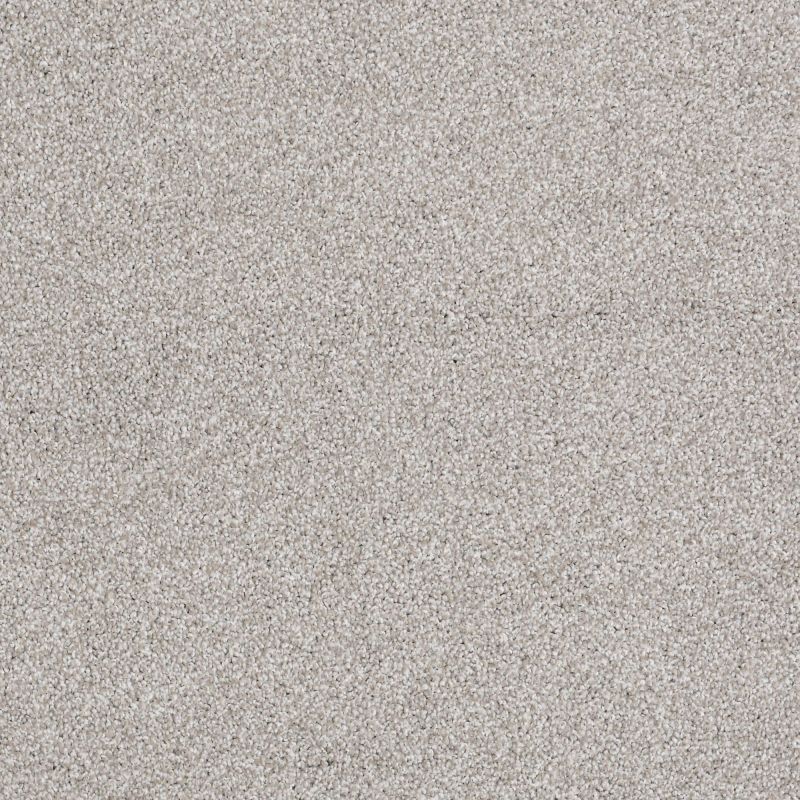 Shaw Floors Anso Open II (t) Frosted Ice