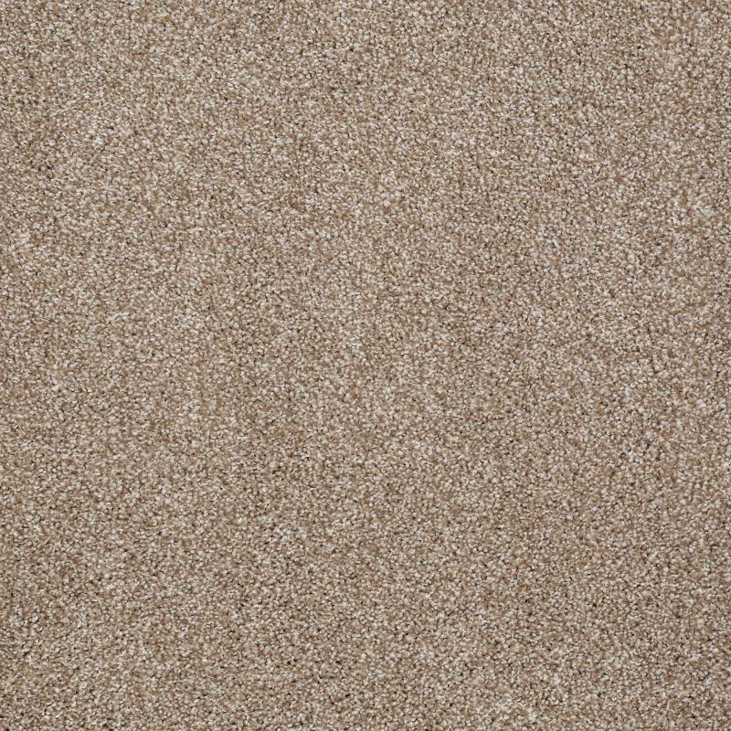 Shaw Floors Anso Open II (t) Mole Hill