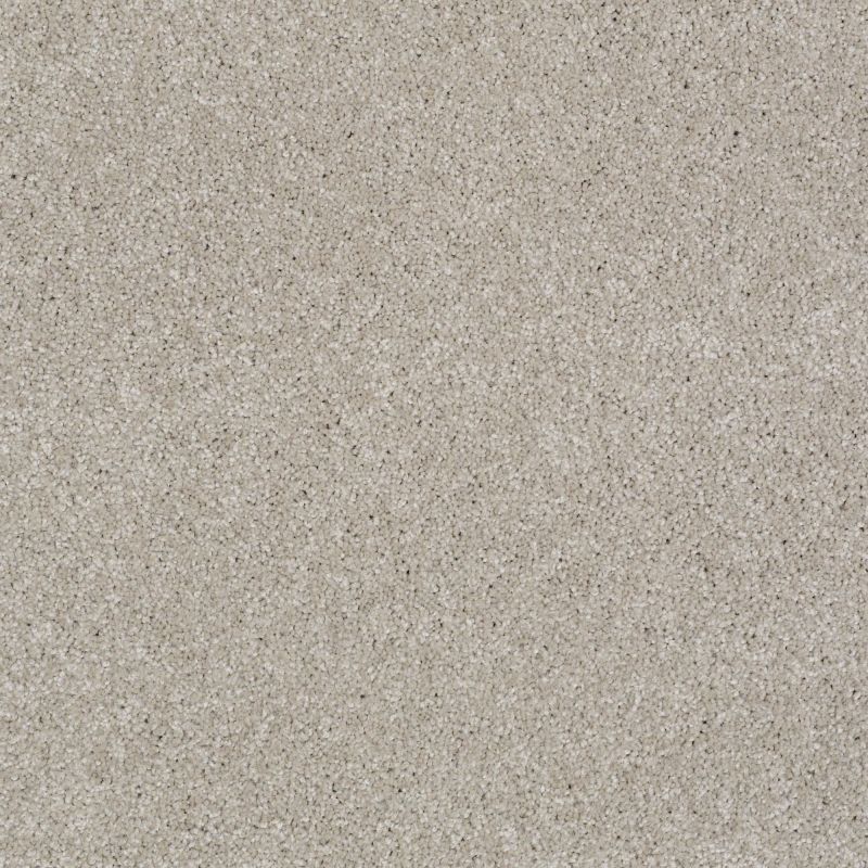 Shaw Floors Anso Open III (s) Greige