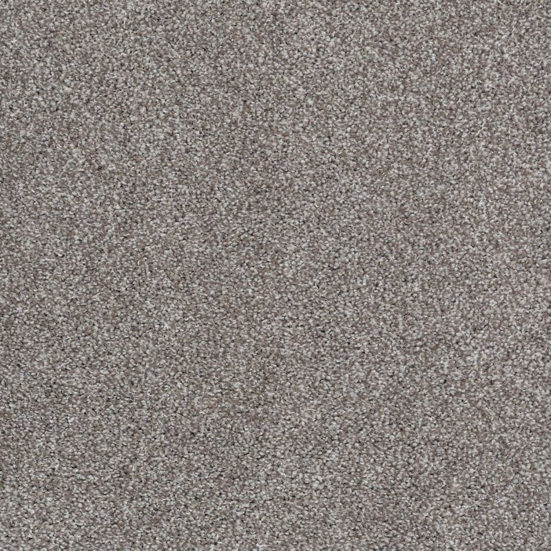 Shaw Floors Value Collections Xvn05 (t) Rice Pilaf