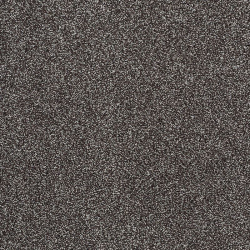 Shaw Floors Value Collections Xvn05 (t) Rich Earth