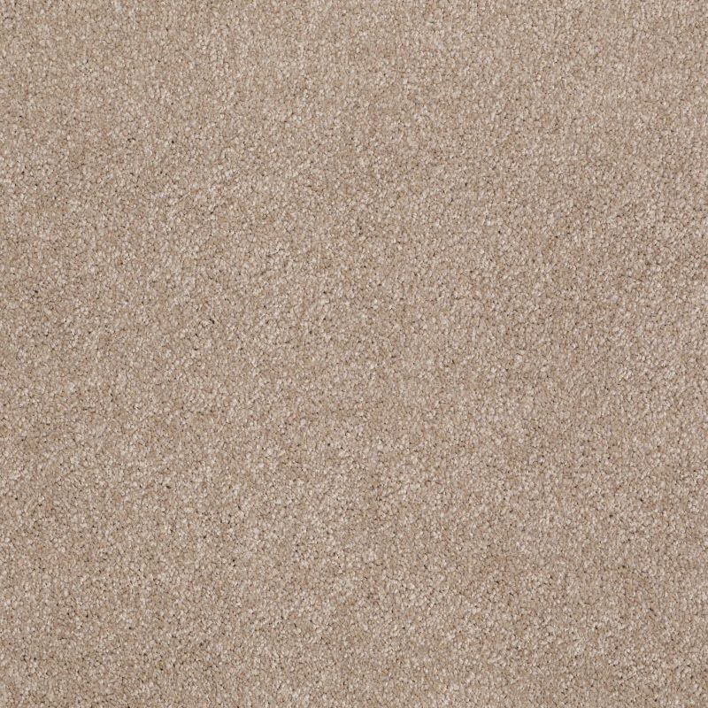 Shaw Floors Value Collections Xvn06 (s) Havana