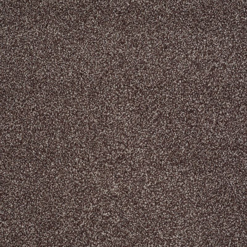 Shaw Floors Value Collections Xvn07 (t) Fudge Ripple
