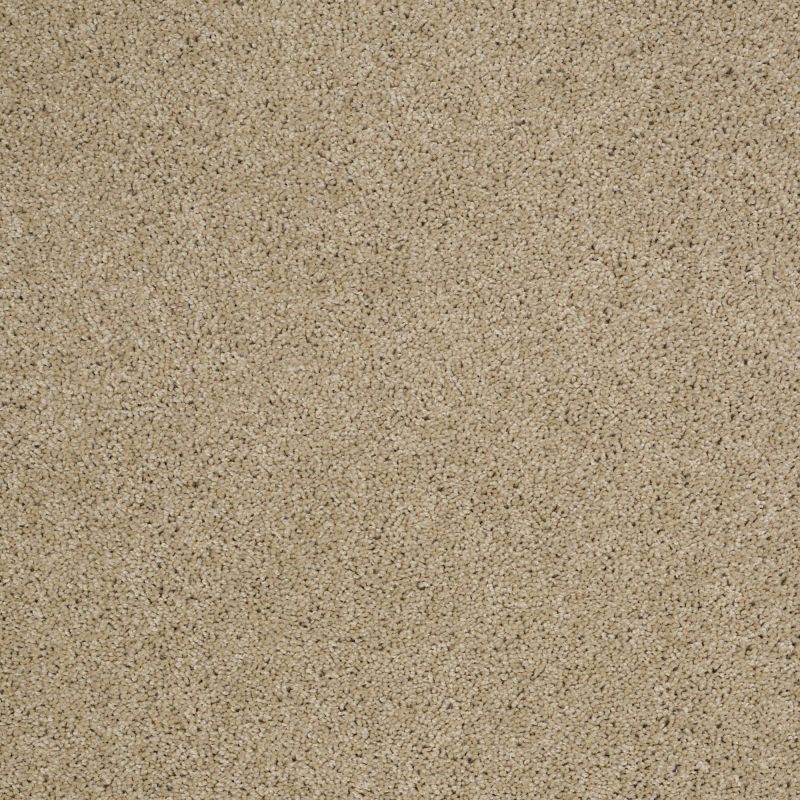 Shaw Floors Value Collections Origins Net Wool Skein