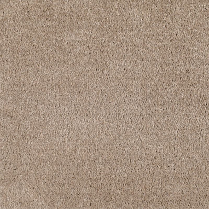 Shaw Floors Value Collections Optimum Net Rockport