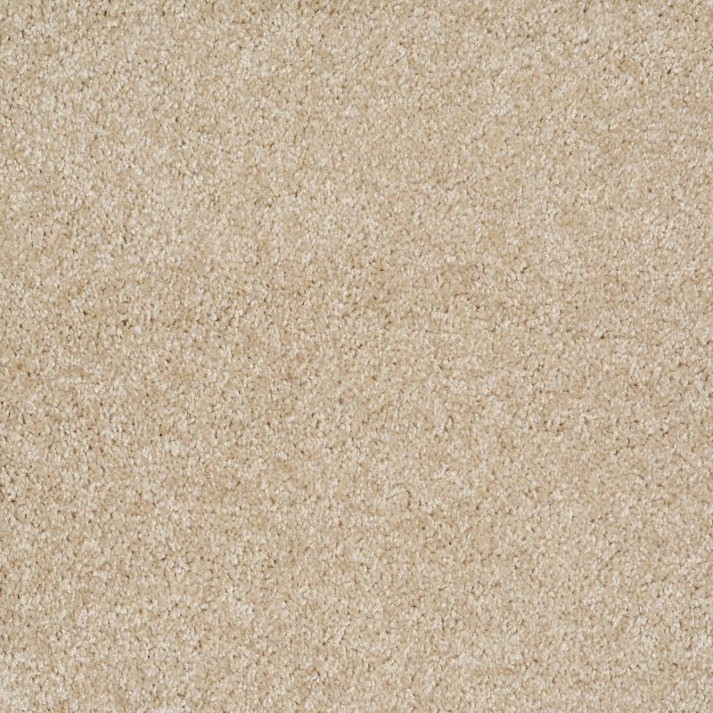 Shaw Floors Value Collections Dakota Springs Net Muslin