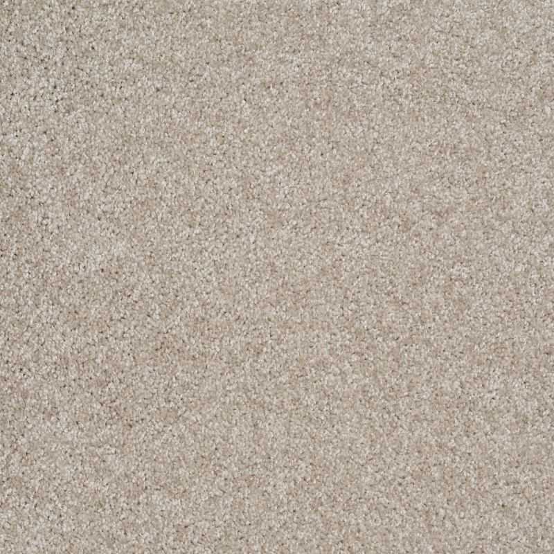 Shaw Floors Value Collections Dakota Springs Net Abalone