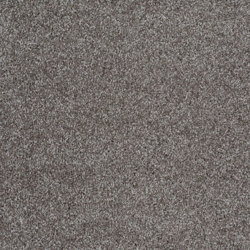 Shaw Floors Value Collections Dakota Springs Net Charcoal