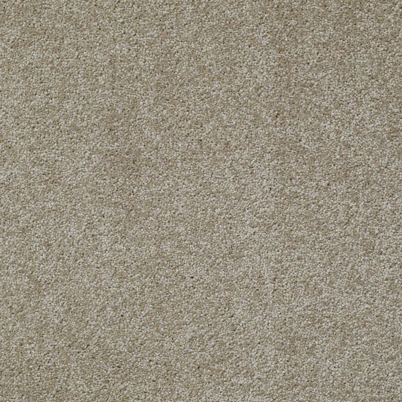 Shaw Floors Value Collections Jealousy Net Khaki Tan