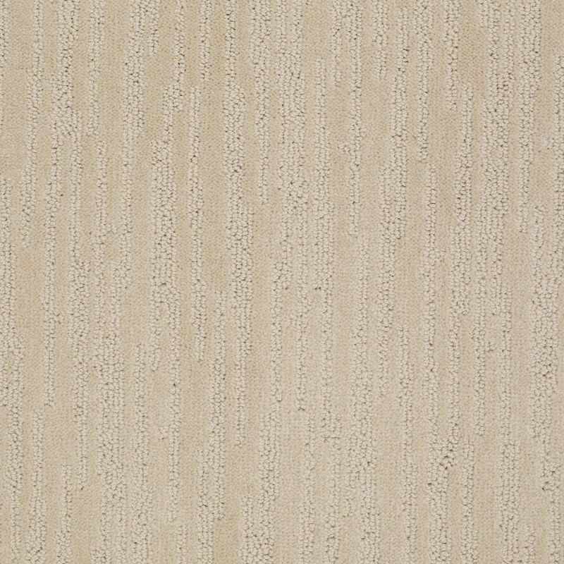 Shaw Floors Value Collections Chambers Bay Net Dunes