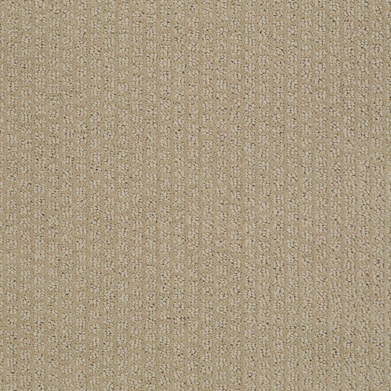 Shaw Floors Value Collections Gainey Ranch Net Mushroom