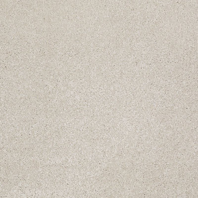Shaw Floors Value Collections Sweet Life Net Mist