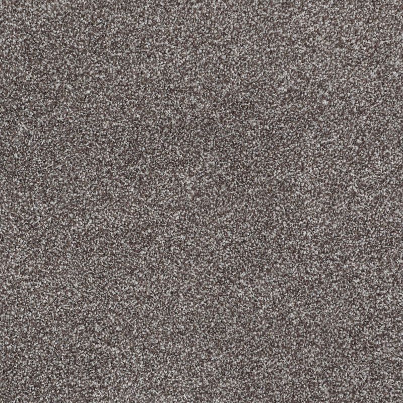 Shaw Floors Value Collections Sweet Life Net Bear Mountain