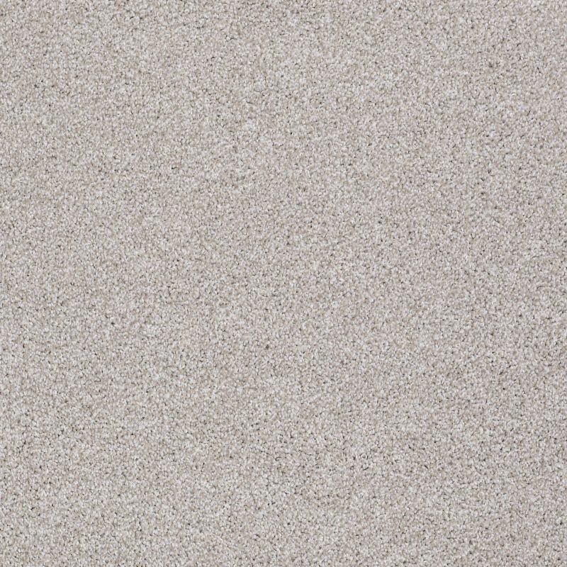 Shaw Floors Value Collections Majority Rules Net Antique Silk