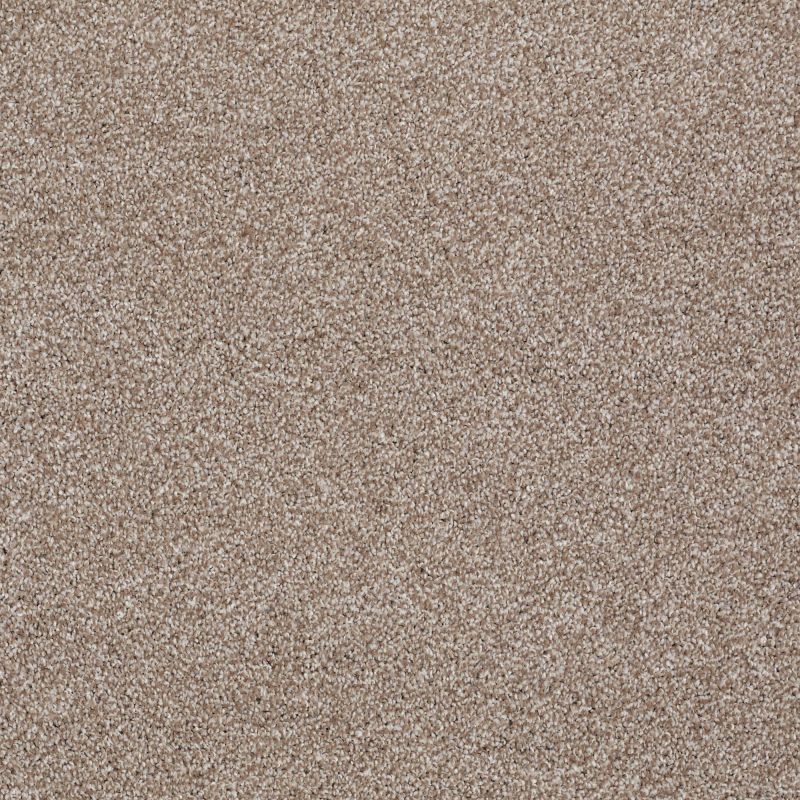 Shaw Floors Value Collections Majority Rules Net Sombrero