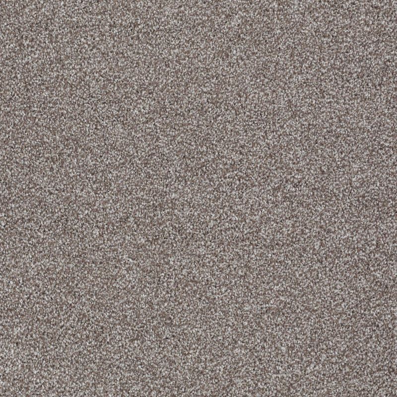 Shaw Floors Value Collections Majority Rules Net Moccasin