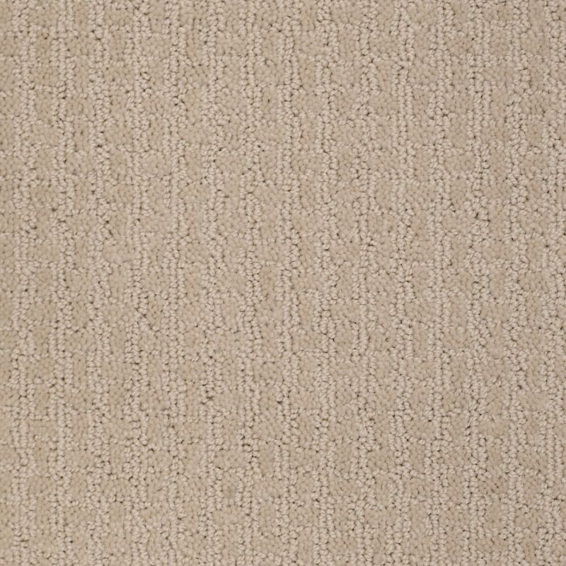 Shaw Floors Value Collections Activate Net Frost