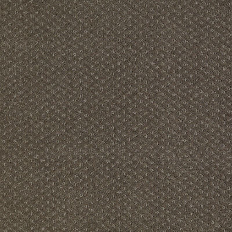 Shaw Floors Value Collections Genesis Net Graphite