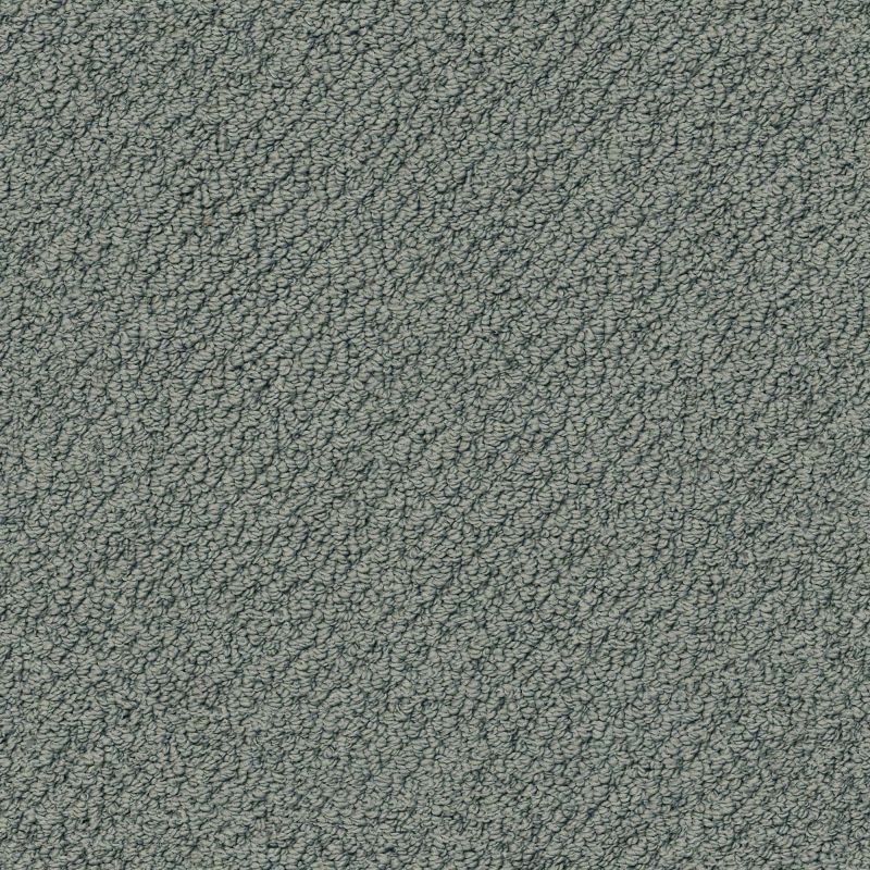 Shaw Floors Value Collections Truly Relaxed Loop Net Atmosphere