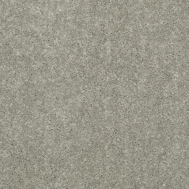 Shaw Floors Value Collections Dyersburg Classic 15' Net Pebble Path