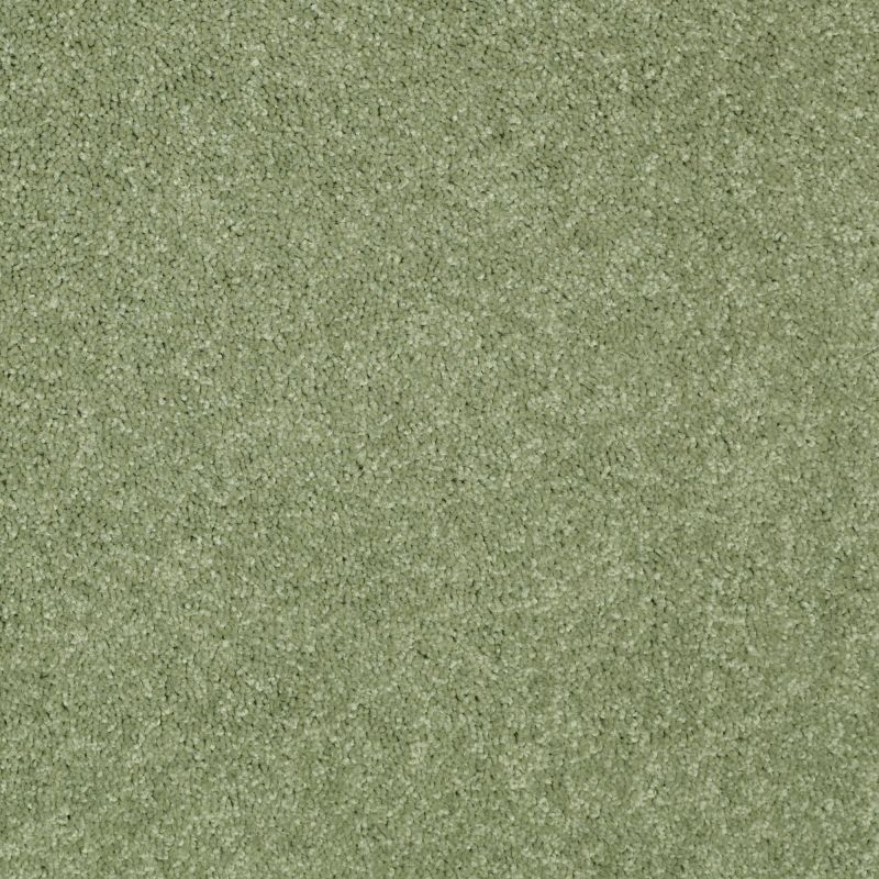 Shaw Floors Value Collections Dyersburg Classic 15' Net Going Green