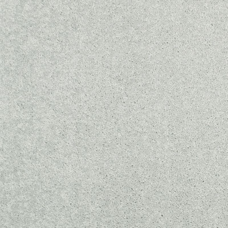 Shaw Floors Value Collections Dyersburg Classic 15' Net Morning Fog