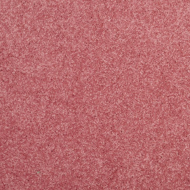 Shaw Floors Value Collections Dyersburg Classic 15' Net Sassy Pink
