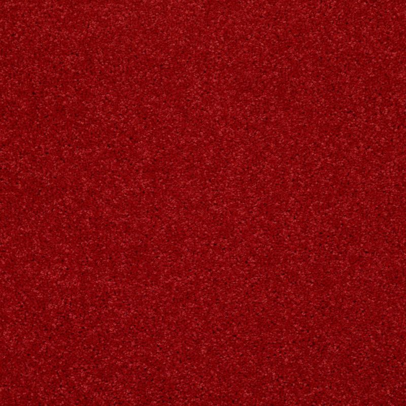 Shaw Floors Value Collections Dyersburg Classic 15' Net Real Red
