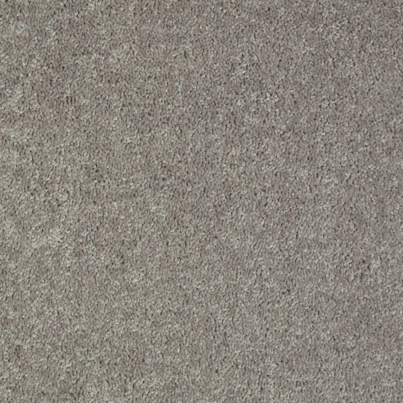 Shaw Floors Value Collections Briceville Classic 12' Net Ink Spot