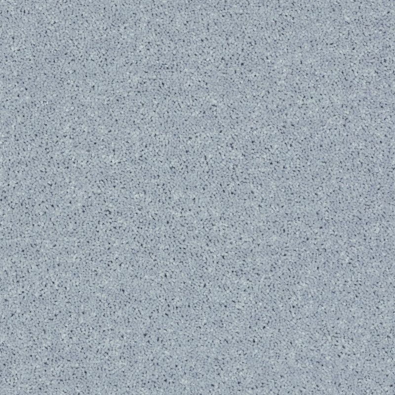 Shaw Floors Value Collections Briceville Classic 12' Net Silver Spoon