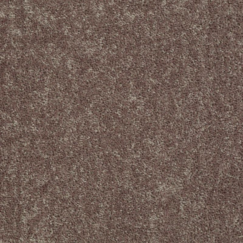Shaw Floors Value Collections Briceville Classic 12' Net Shale