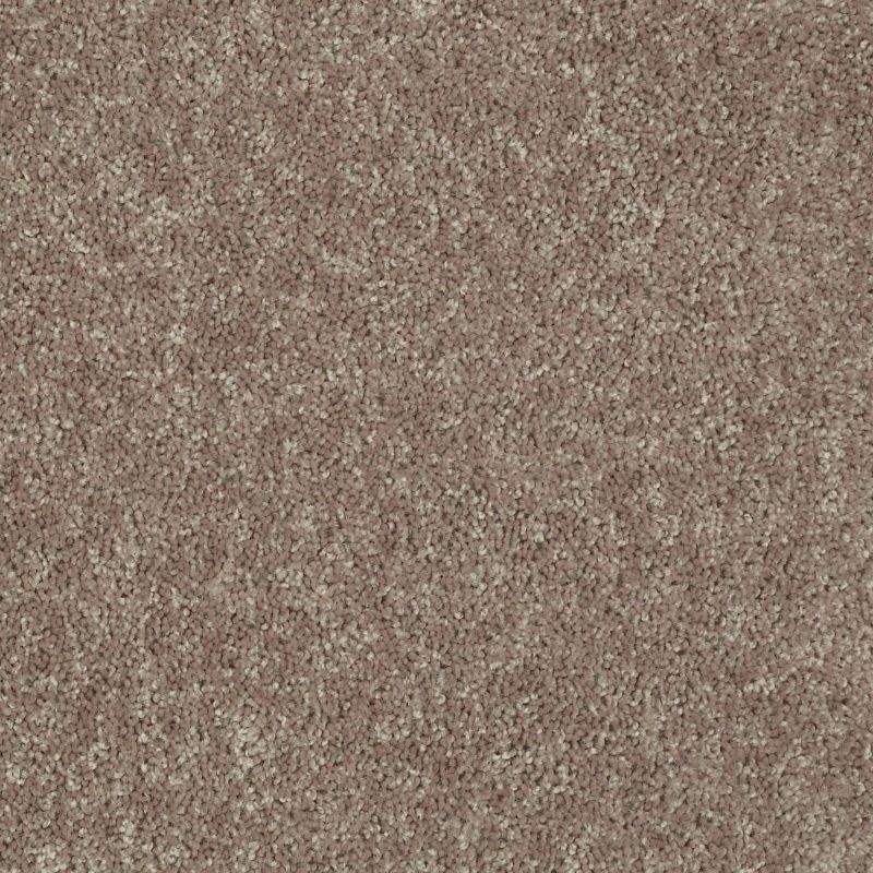Shaw Floors Value Collections Briceville Classic 12' Net River Slate