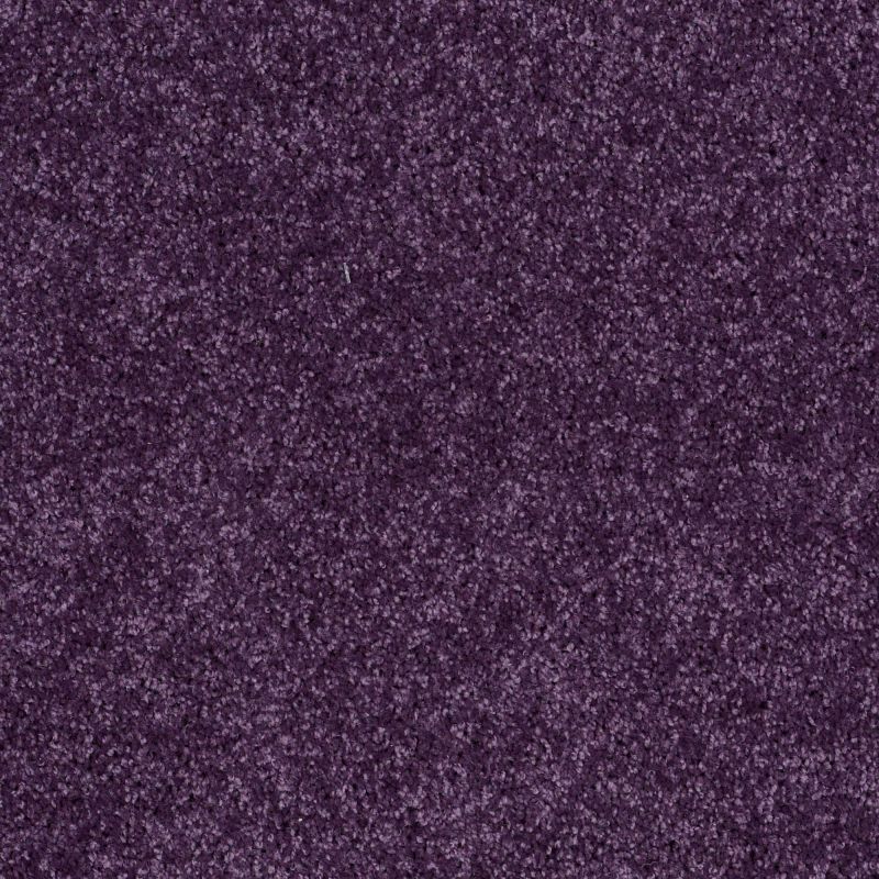 Shaw Floors Value Collections Briceville Classic 12' Net Grape Slushy