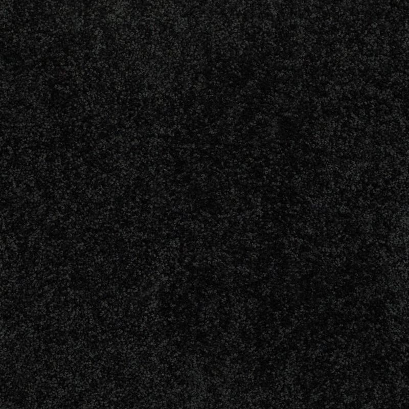 Shaw Floors Value Collections Briceville Classic 12' Net Coal Black