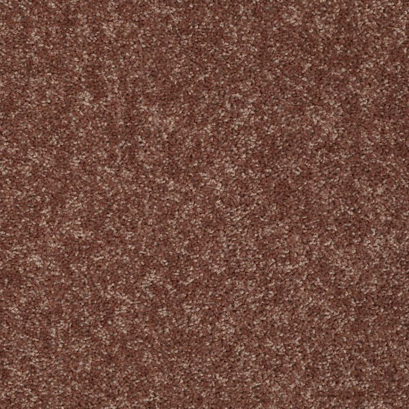 Shaw Floors Value Collections Briceville Classic 12' Net Winter Wheat