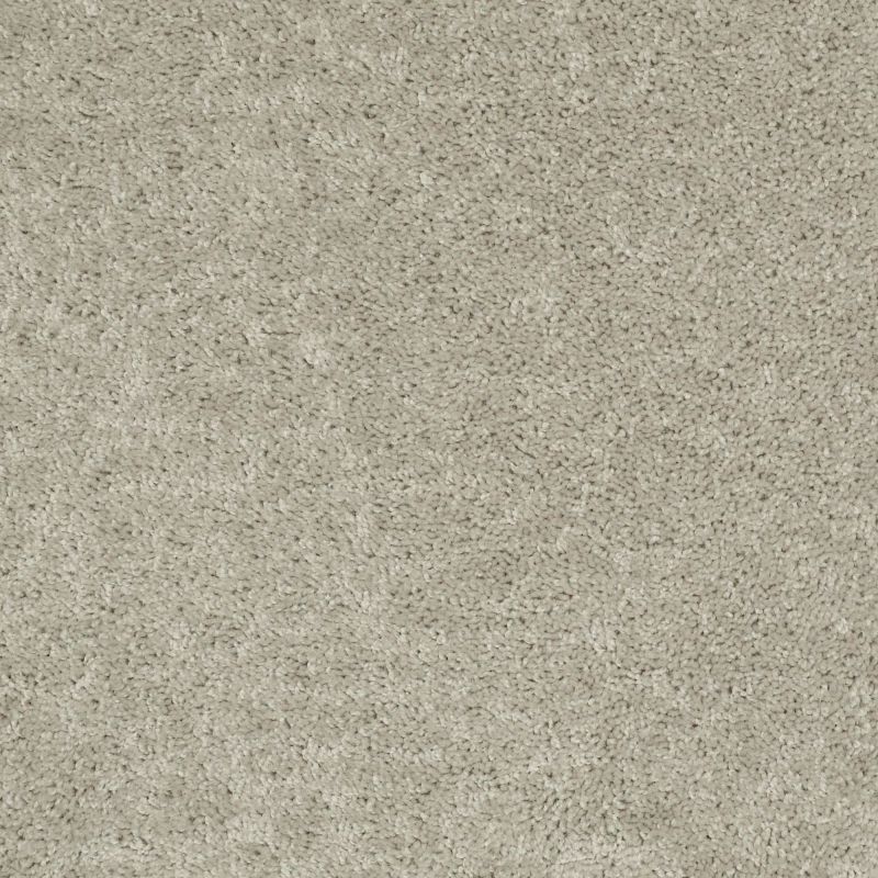 Shaw Floors Value Collections Briceville Classic 15' Net Misty Taupe