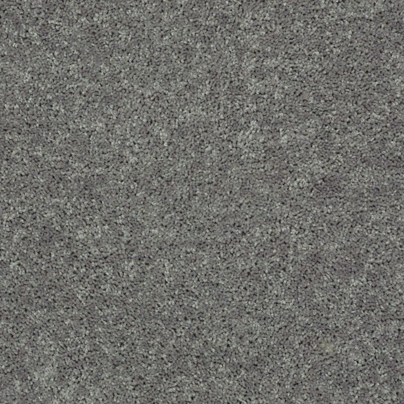 Shaw Floors Value Collections Briceville Classic 15' Net Ink Spot