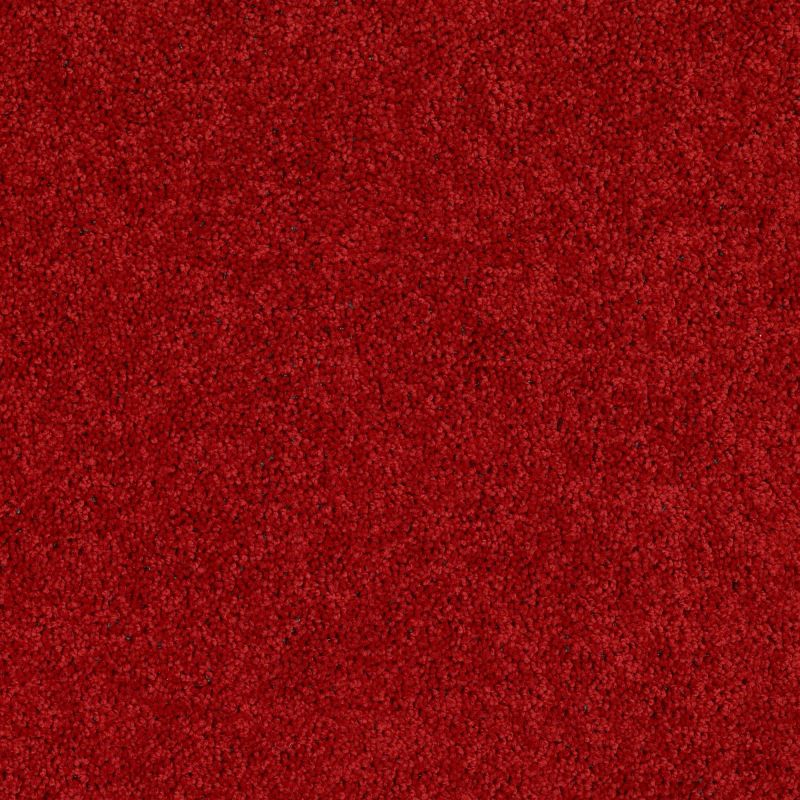 Shaw Floors Value Collections Briceville Classic 15' Net Real Red