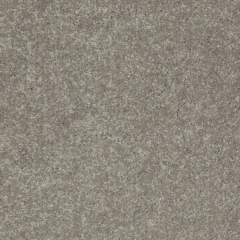 Shaw Floors Value Collections Newbern Classic 12' Net Pebble Path