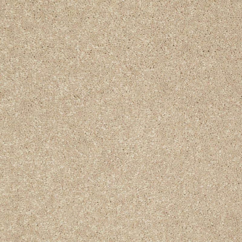 Shaw Floors Value Collections Newbern Classic 12' Net Casual Cream
