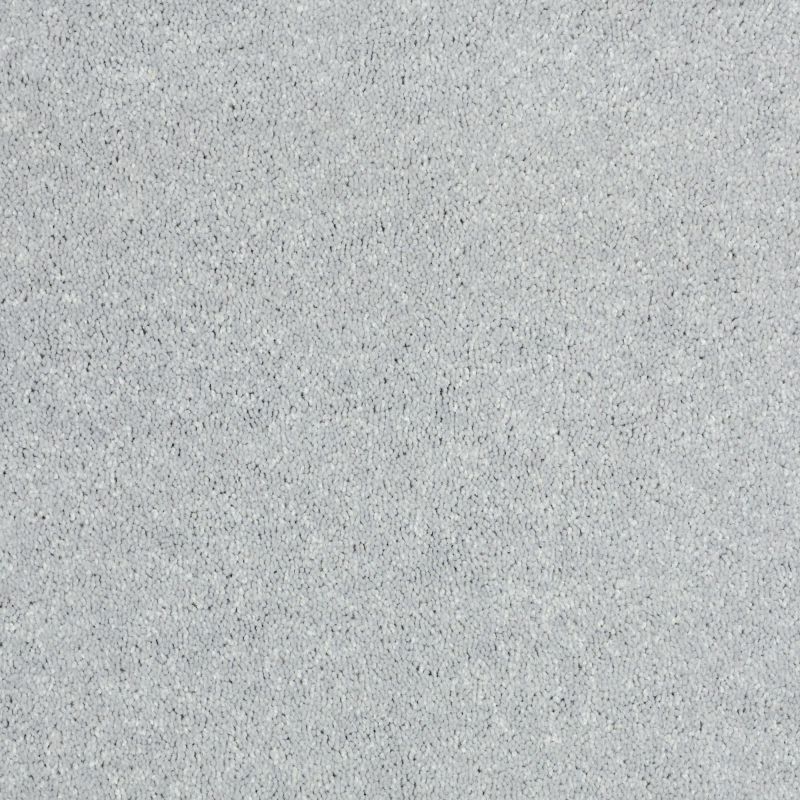 Shaw Floors Value Collections Newbern Classic 12' Net Morning Fog