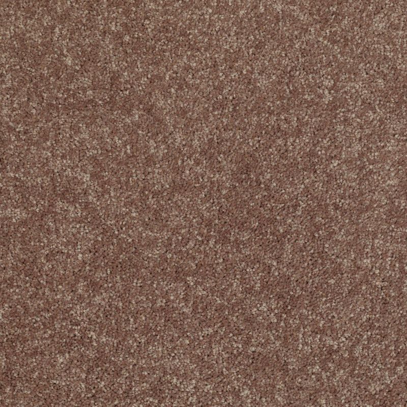 Shaw Floors Value Collections Newbern Classic 12' Net Driftwood