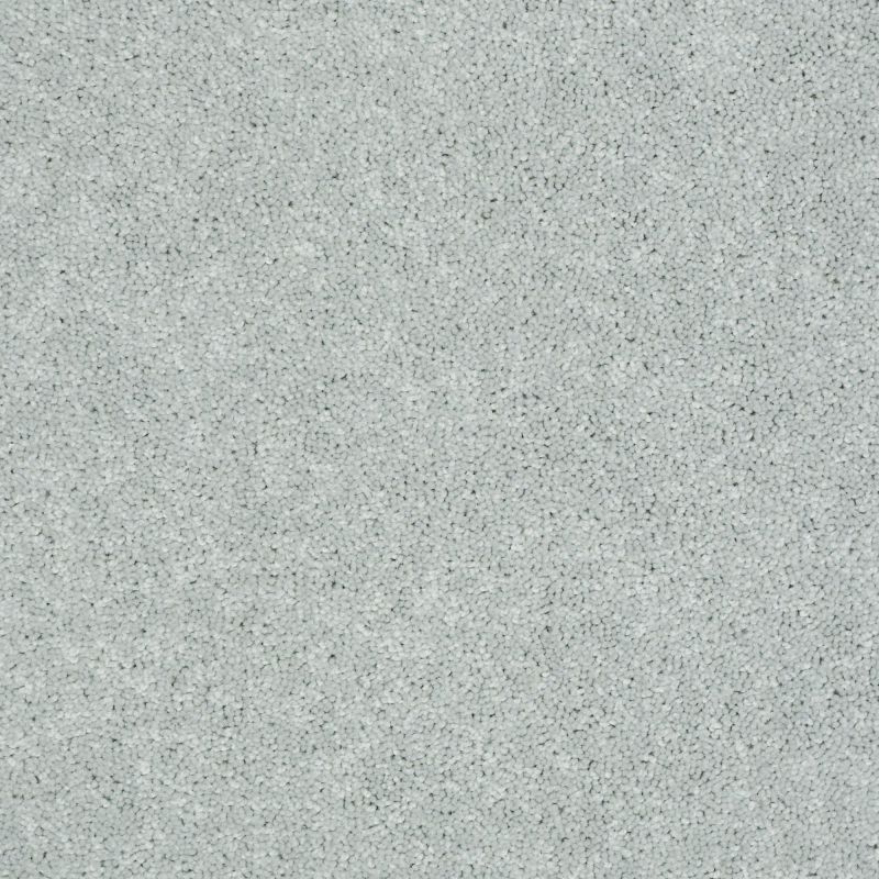 Shaw Floors Value Collections Newbern Classic 15' Net Morning Fog