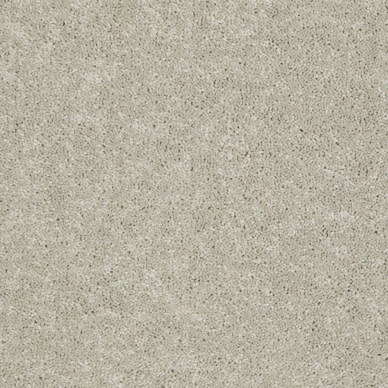 Shaw Floors Value Collections Newbern Classic 15' Net Dove