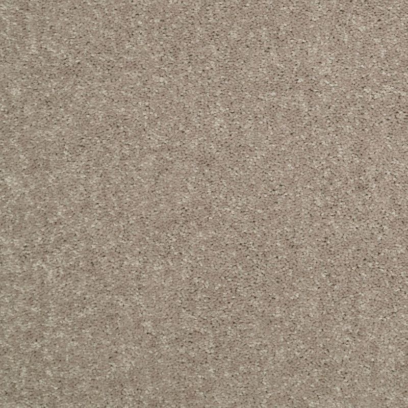 Shaw Floors Value Collections Newbern Classic 15' Net Taupe Mist