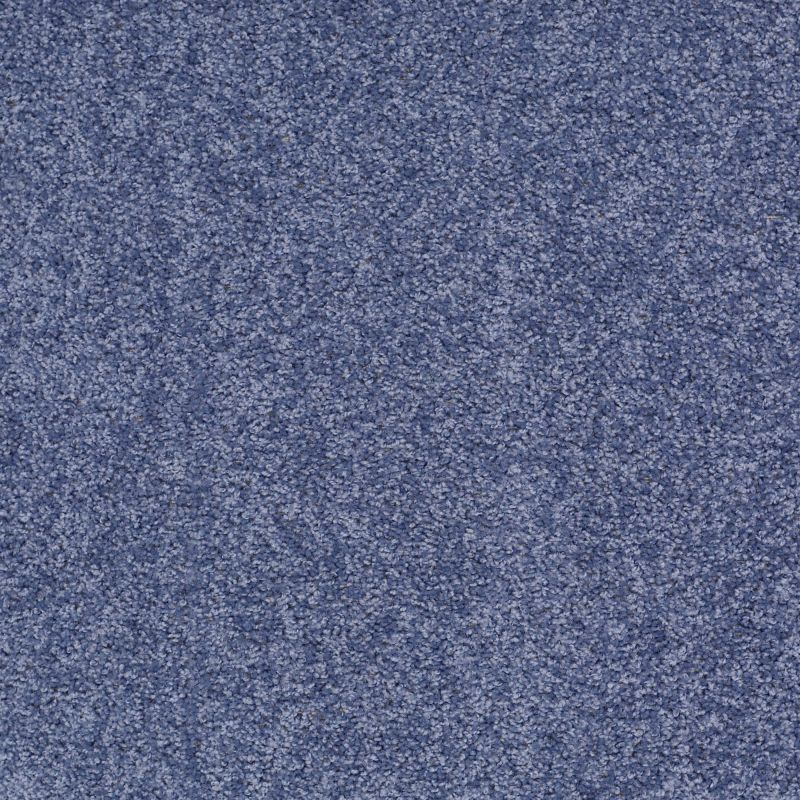 Shaw Floors Value Collections Fielder's Choice 12 Net Castaway