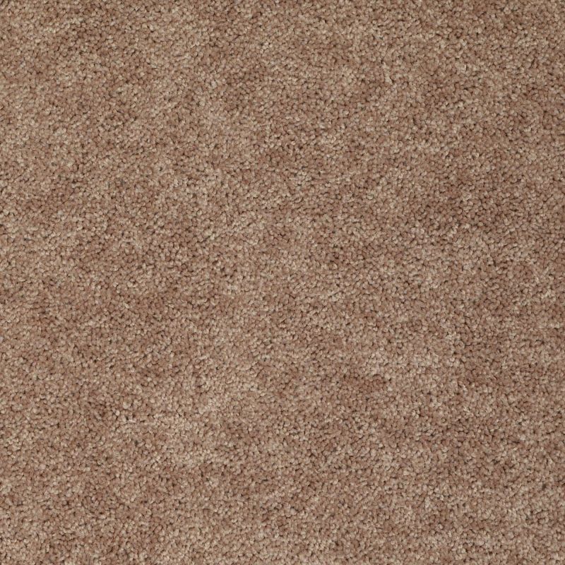 Shaw Floors Value Collections Fielder's Choice 12 Net Rio Grande