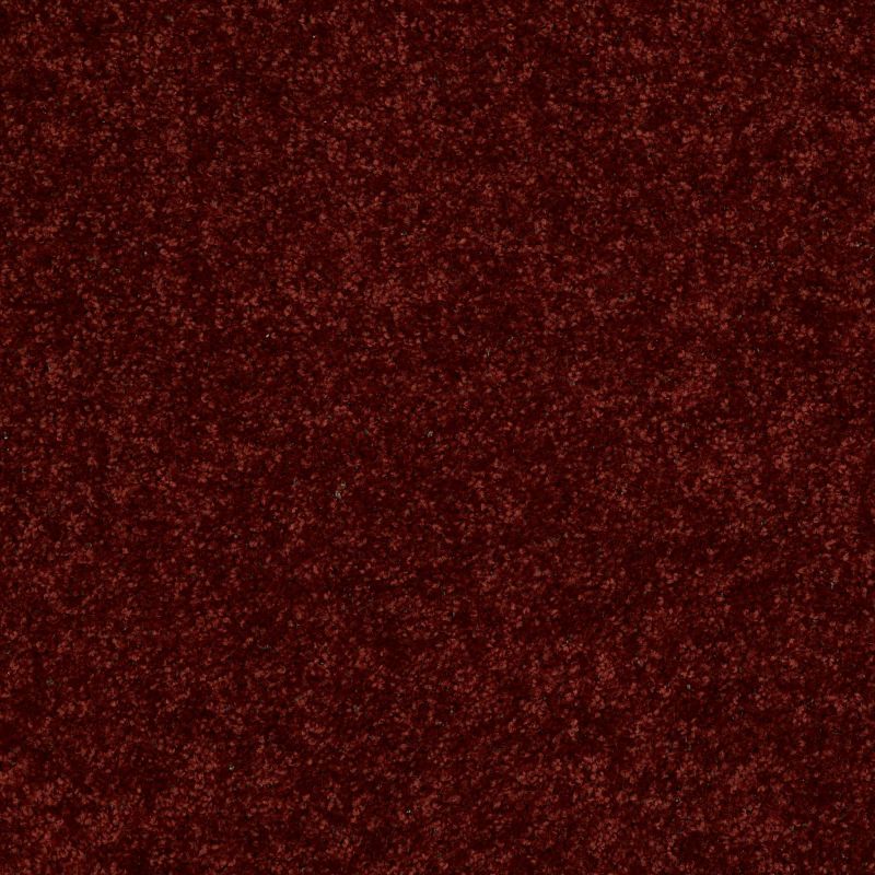 Shaw Floors Value Collections Fielder's Choice 12 Net Red Rock