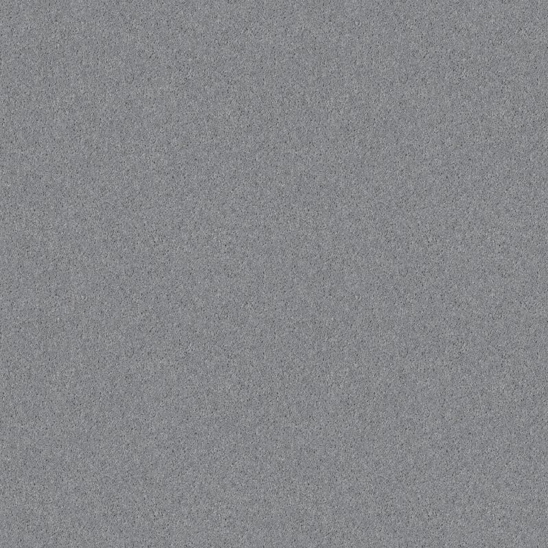 Shaw Floors Value Collections Dyersburg Classic 12 Net Silver Bay